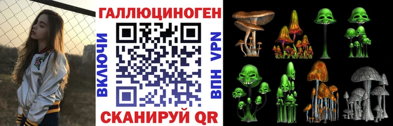Псилоцибиновые грибы Psilocybe Арсеньев